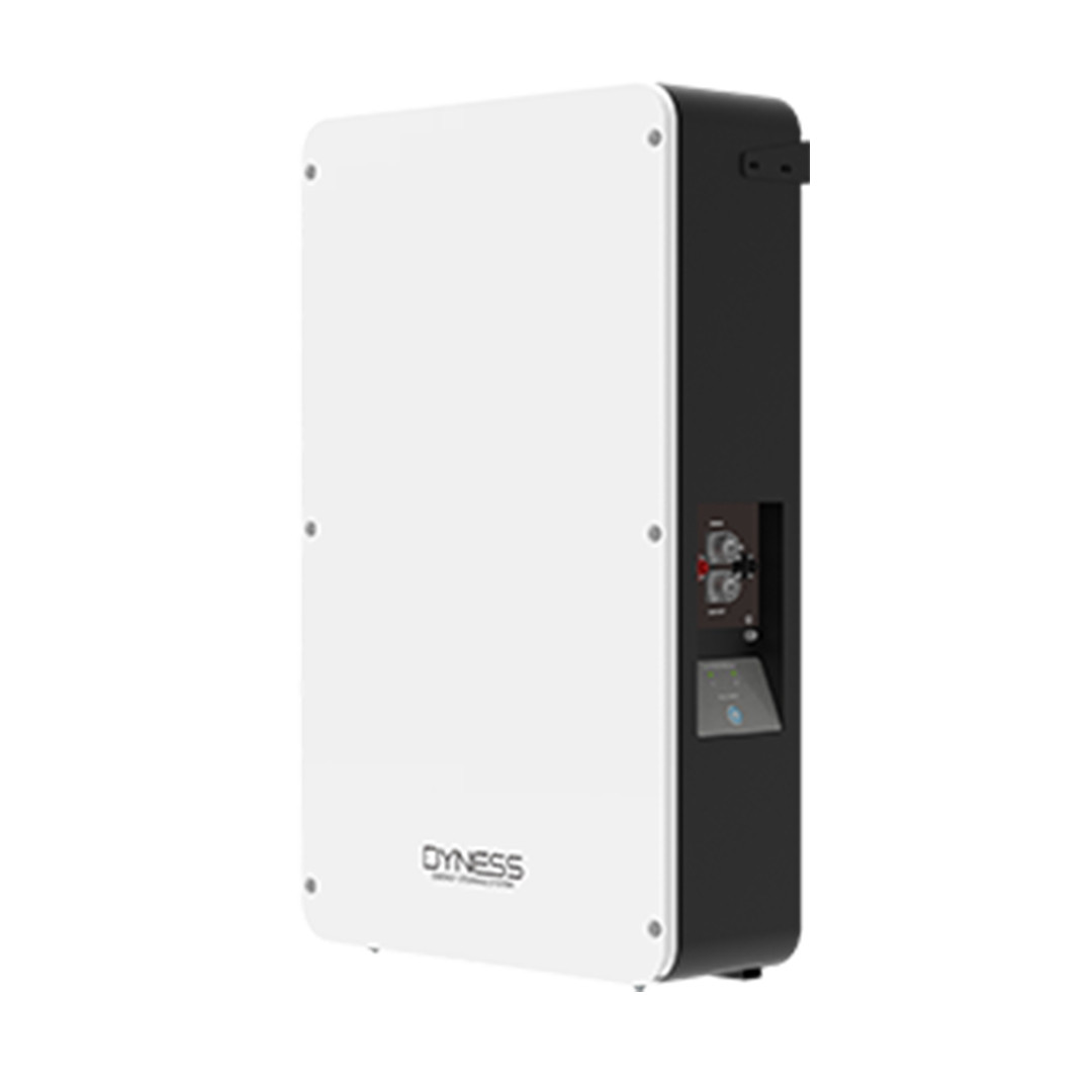Батерия Dyness Powerbox Pro LiFePO4 LV